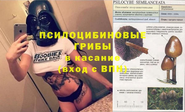 эйфоретик Алзамай