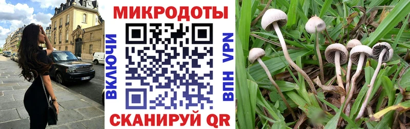 Галлюциногенные грибы прущие грибы где купить наркотик Пошехонье